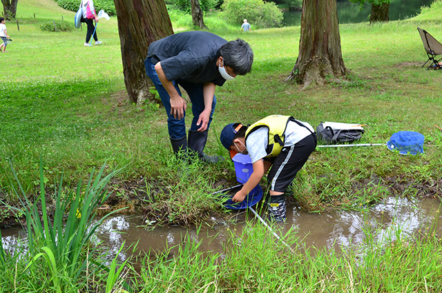 自然体験塾「小川」の生きもの観察会の写真