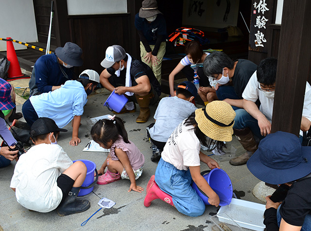 自然体験塾「小川」の生きもの観察会の写真