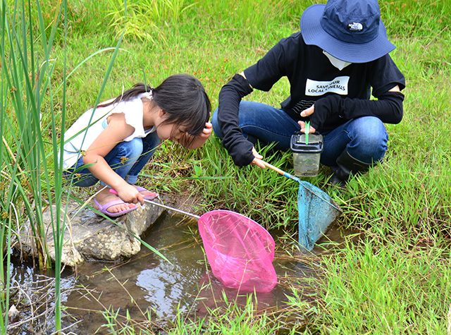 自然体験塾「小川」の生きもの観察会の写真