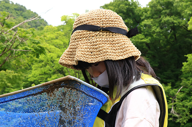 自然体験塾「小川」の生きもの観察会の写真