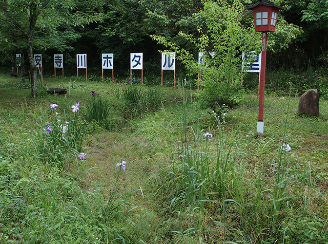 大安寺川ホタルまつりの写真