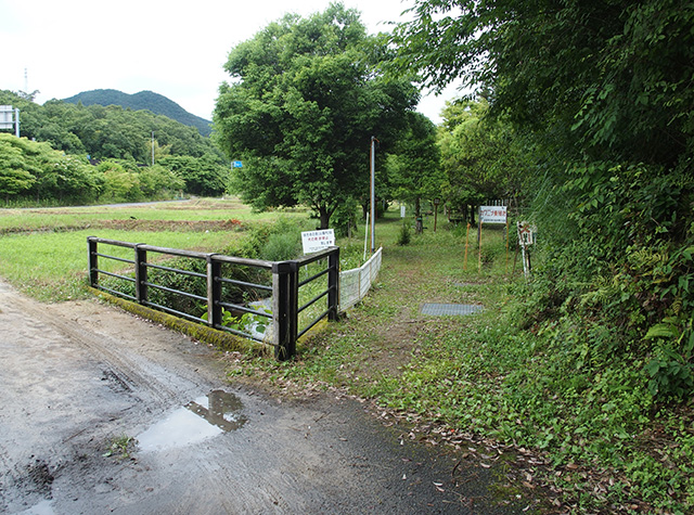 大安寺川ホタルまつりの写真