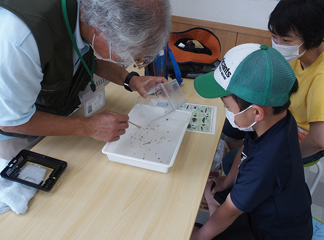 水辺の環境教室（水生昆虫の採取と観察）の写真