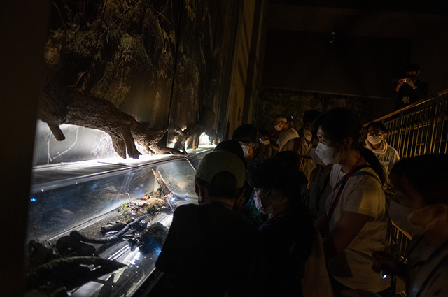 水生生物の教室（夜の水族館）の写真