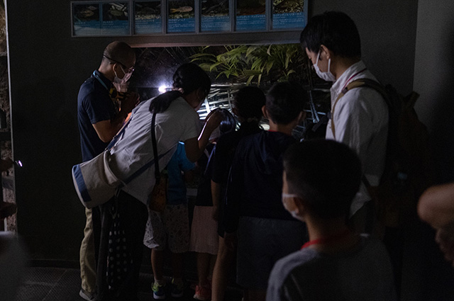 水生生物の教室（夜の水族館）の写真