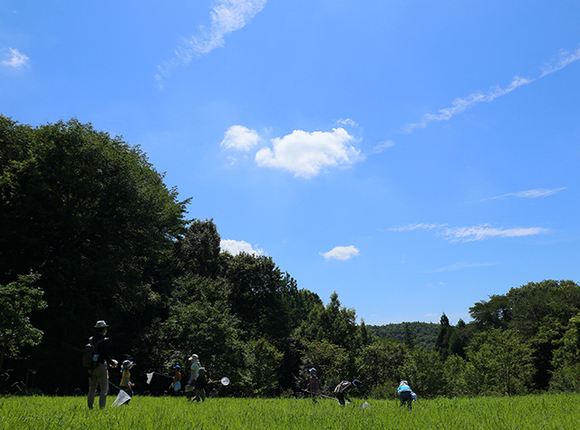 自然体験塾「盛夏の昆虫おもしろ楽習」の写真