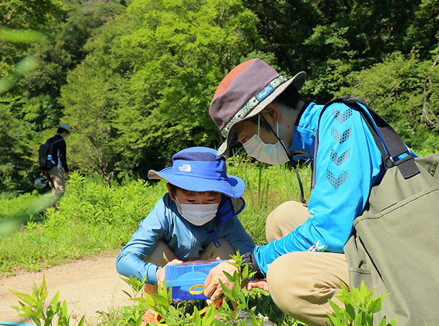 自然体験塾「盛夏の昆虫おもしろ楽習」の写真