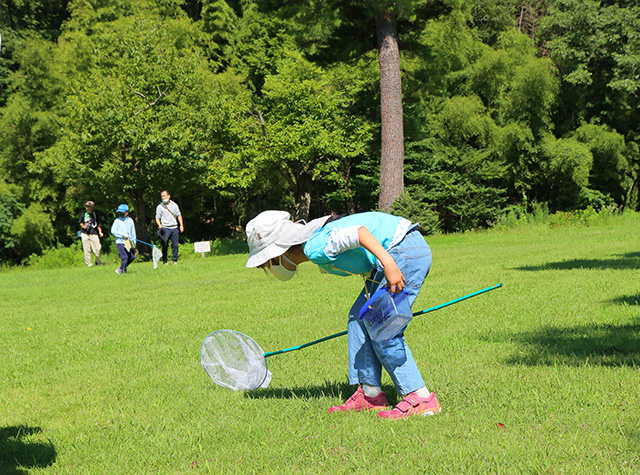 自然体験塾「盛夏の昆虫おもしろ楽習」の写真