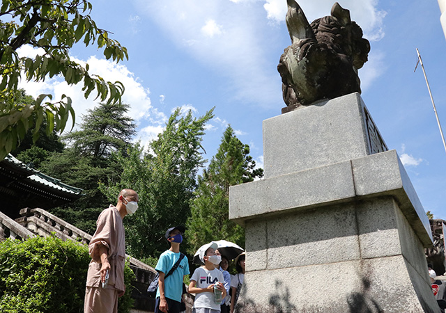 夏休み子ども講座「萬松園と貞照寺の親子見学会」の写真