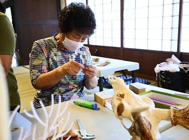 自然体験塾「お母さんハンターによるワークショップ～鹿の角のクラフト～」の写真