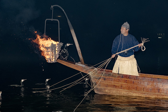 「親子で観覧木曽川夜鵜飼」の写真