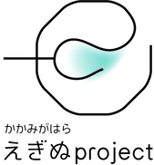 project30