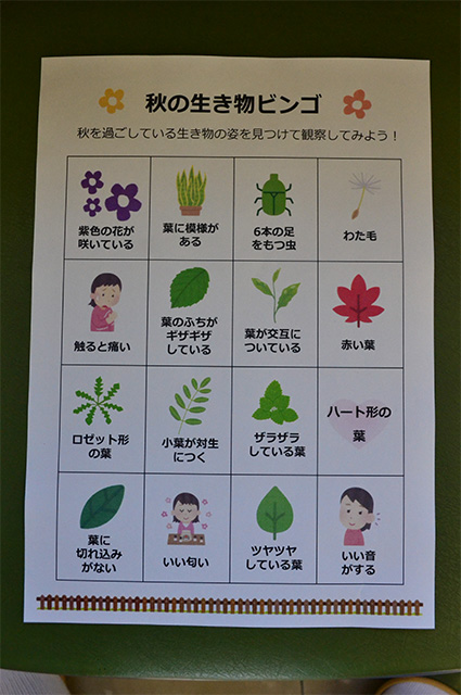 各務野科学ラボ第3回「身近な生き物の観察」の写真