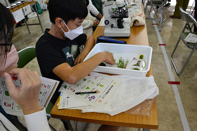 各務野科学ラボ第3回「身近な生き物の観察」の写真