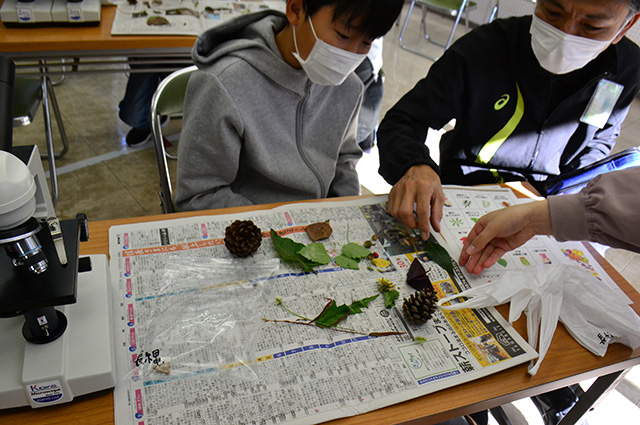 各務野科学ラボ第3回「身近な生き物の観察」の写真