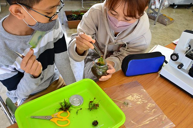 各務野科学ラボ第3回「身近な生き物の観察」の写真