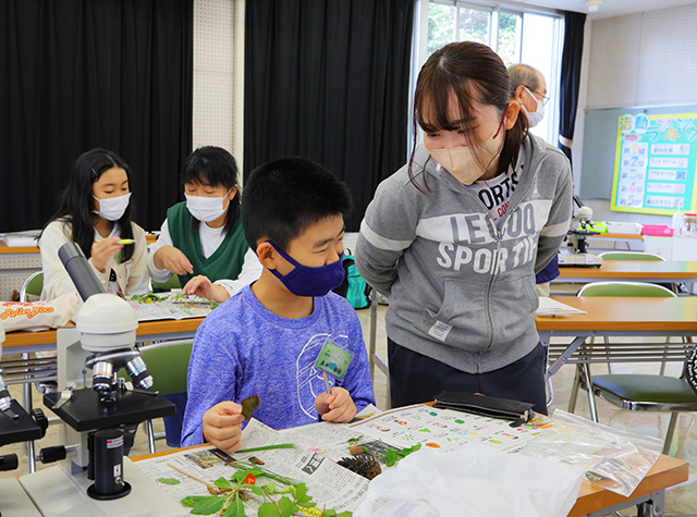 各務野科学ラボ第3回「身近な生き物の観察」の写真