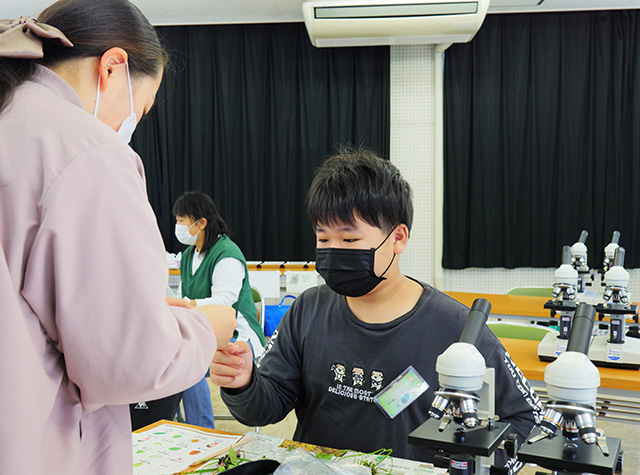 各務野科学ラボ第3回「身近な生き物の観察」の写真