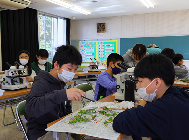 各務野科学ラボ第3回「身近な生き物の観察」の写真