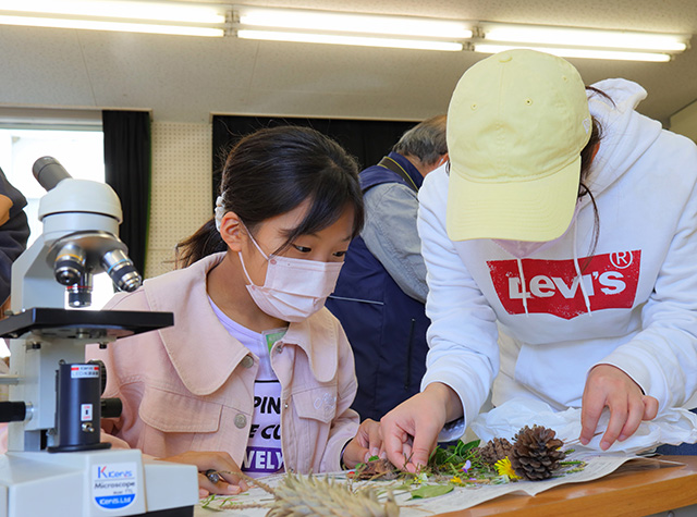 各務野科学ラボ第3回「身近な生き物の観察」の写真