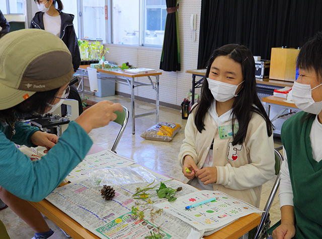 各務野科学ラボ第3回「身近な生き物の観察」の写真