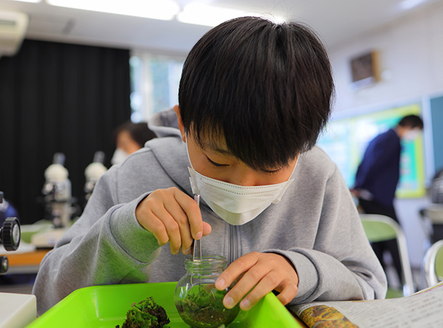 各務野科学ラボ第3回「身近な生き物の観察」の写真