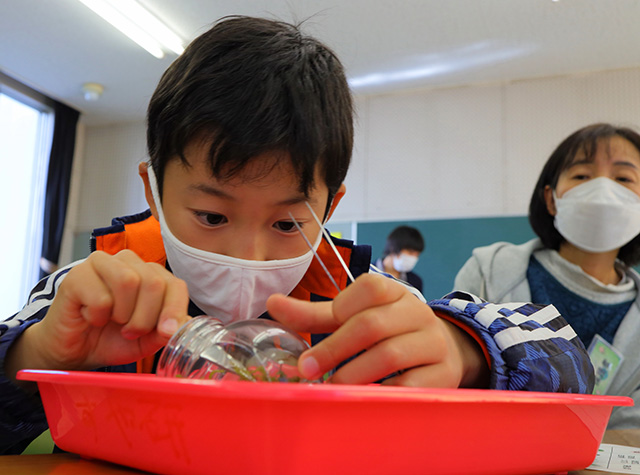 各務野科学ラボ第3回「身近な生き物の観察」の写真