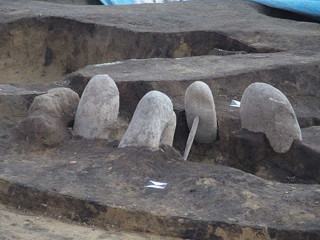 古代の遺跡を発掘しよう！の写真