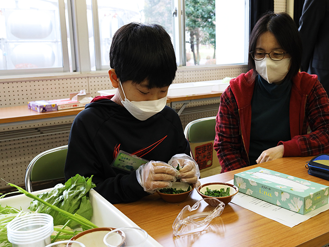 各務野科学ラボ第5回「植物にふくまれる色素の不思議」の画像