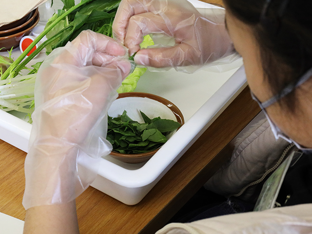 各務野科学ラボ第5回「植物にふくまれる色素の不思議」の画像