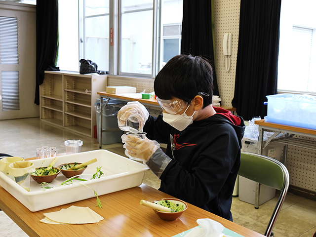 各務野科学ラボ第5回「植物にふくまれる色素の不思議」の画像