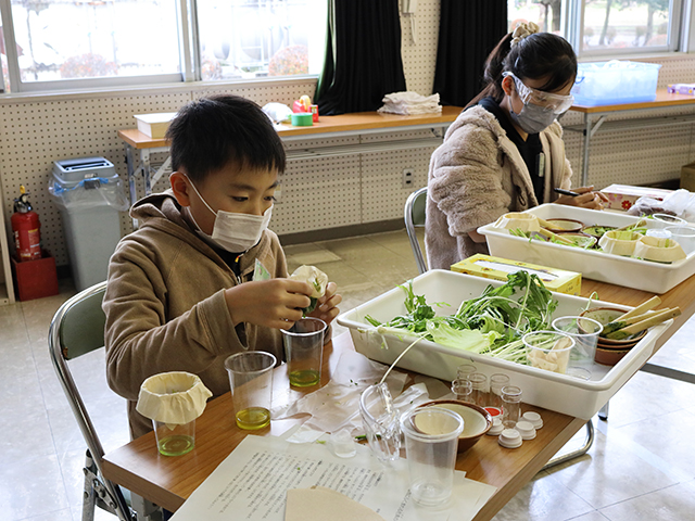 各務野科学ラボ第5回「植物にふくまれる色素の不思議」の画像