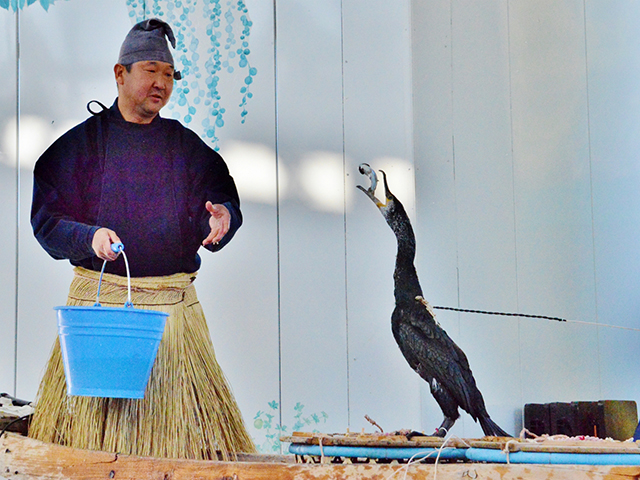 犬山市各務原市ご当地じまんまつりの画像