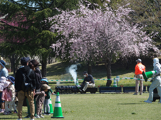 「第47回各務原市桜まつり」の写真