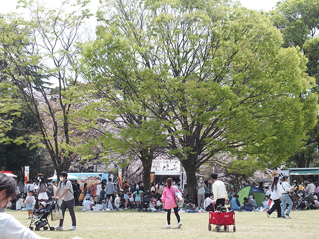 「第47回各務原市桜まつり」の写真