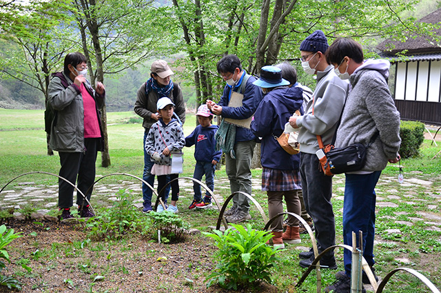 「植物博士と歩く！春の植物観察会〜スミレ～」の写真