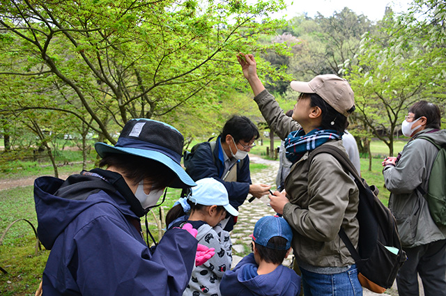 「植物博士と歩く！春の植物観察会〜スミレ～」の写真