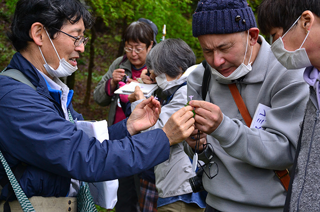 「植物博士と歩く！春の植物観察会〜スミレ～」の写真