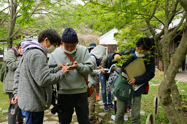 「植物博士と歩く！春の植物観察会〜スミレ～」の写真
