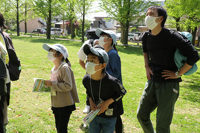 春の公園ツアーの写真