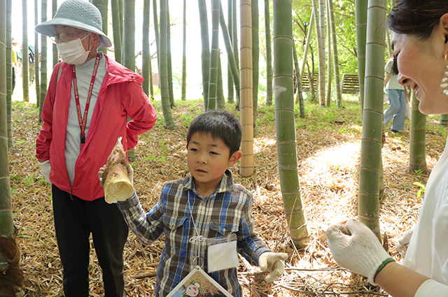 春の公園ツアーの写真