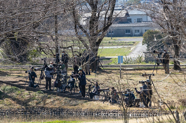 「春の蘇原自然公園」の写真