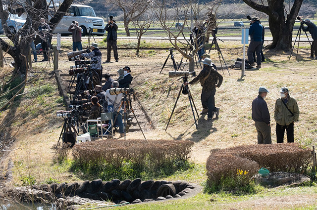 「春の蘇原自然公園」の写真