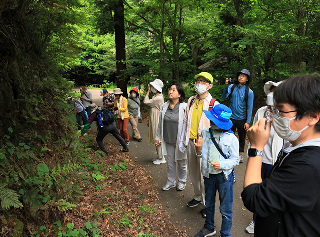 自然体験塾「各務原の地層を、あるいてみにいこう〜足元の石からわかること～」の写真