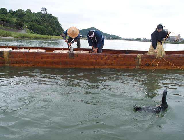 「木曽川鵜飼開き」の写真