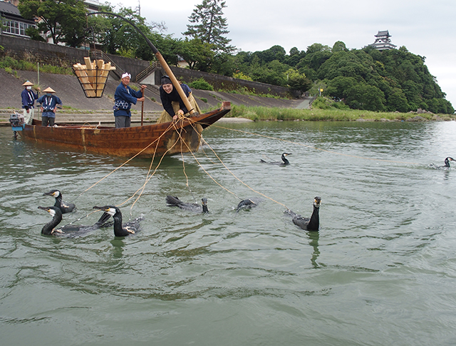 「木曽川鵜飼開き」の写真