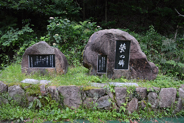 大安寺川ホタルまつりの写真