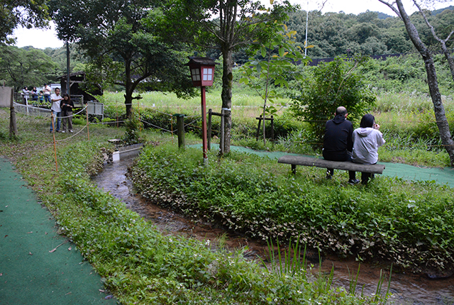 大安寺川ホタルまつりの写真