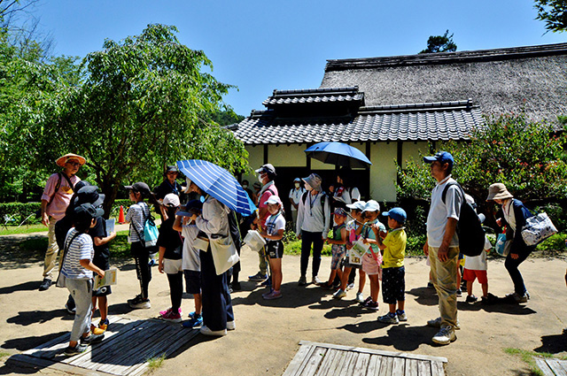 夏の公園ツアーの写真