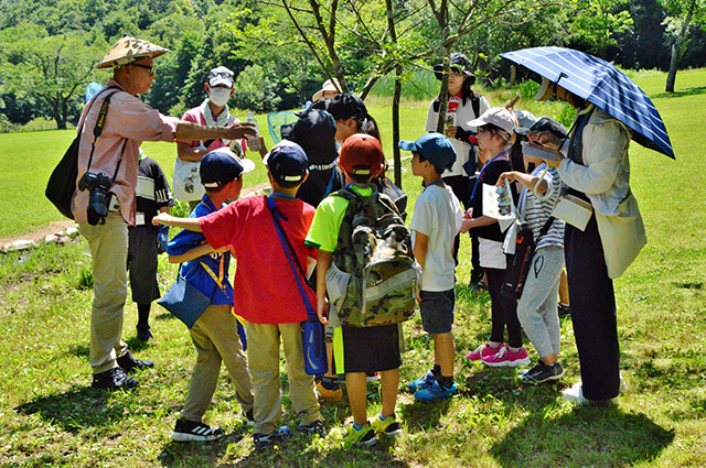 夏の公園ツアーの写真